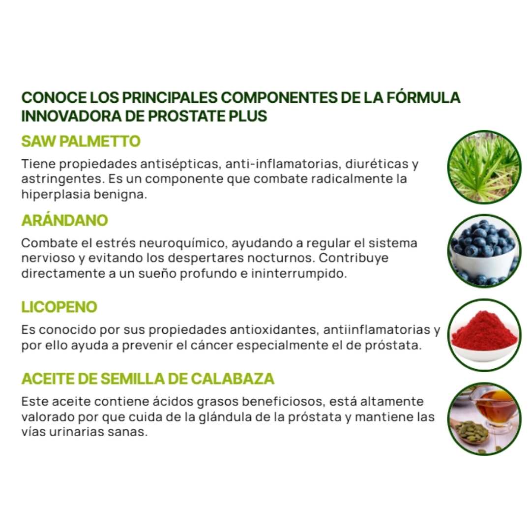 Prostate Plus X90 Cápsulas