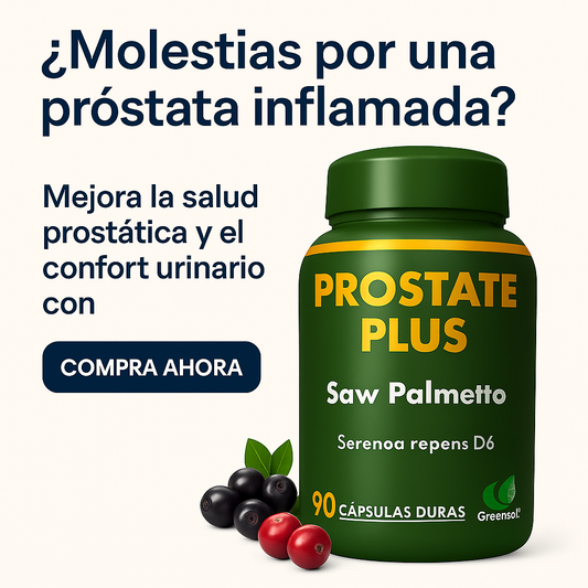 Prostate Plus X90 Cápsulas