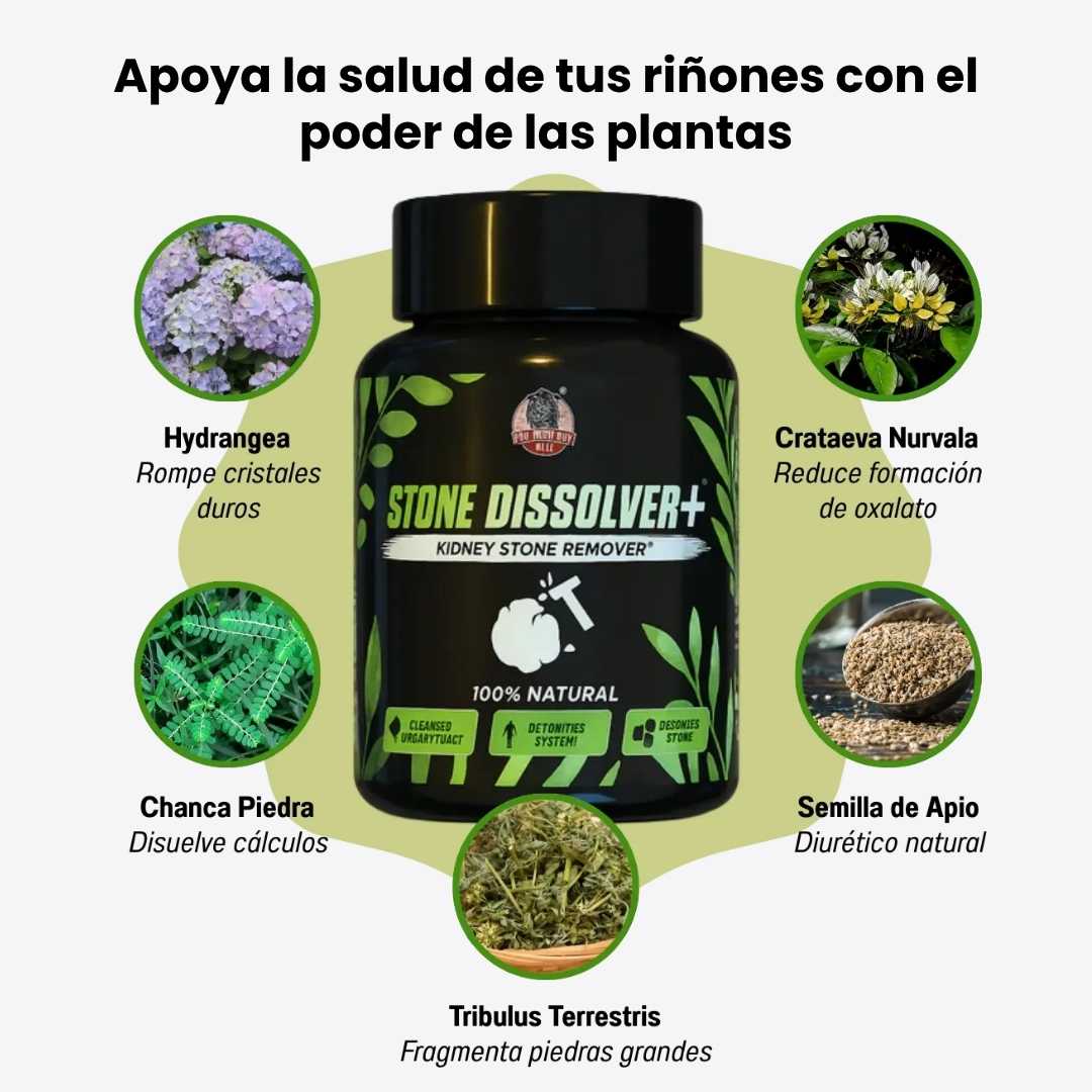 Stone Dissolver + Suplemento Renal Natural