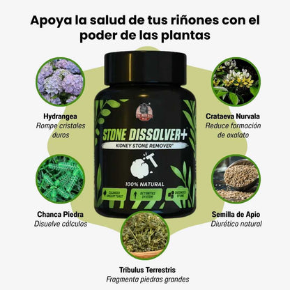 Stone Dissolver + Suplemento Renal Natural