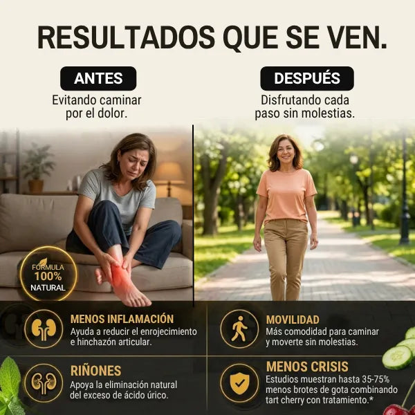 URIC ACID PURGE - Limpieza de Ácido Urico y Salud Articular